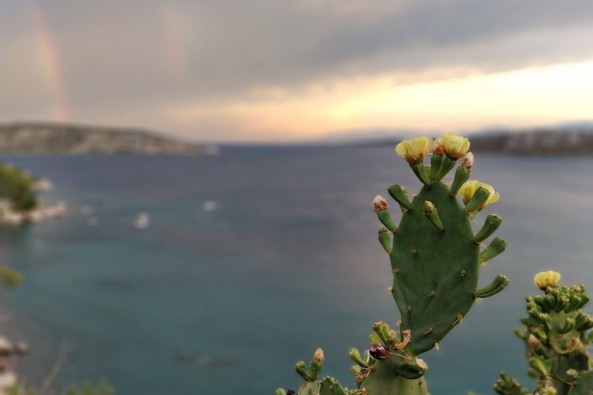 Lefka Beach Camping campsite in Vivári — photo 4