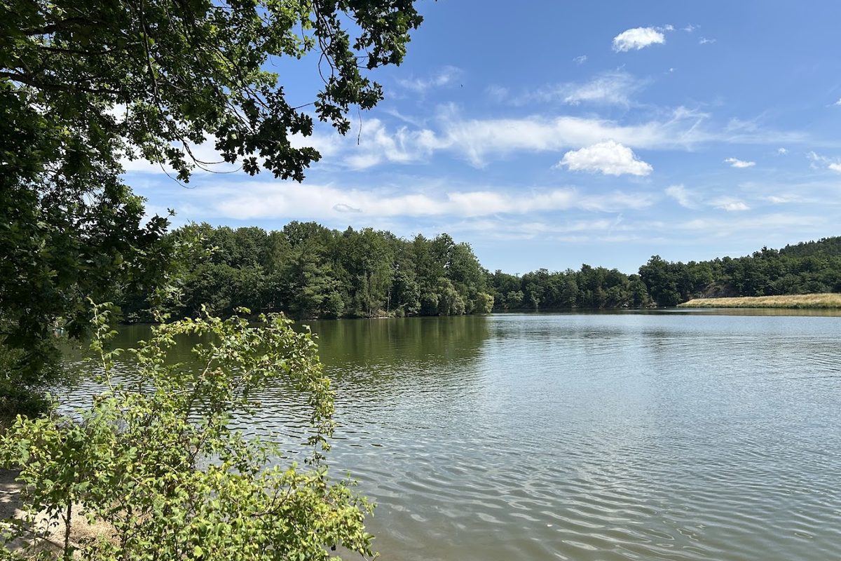 Naturcampingplatz an der Aumatalsperre campsite in Weida — photo 3