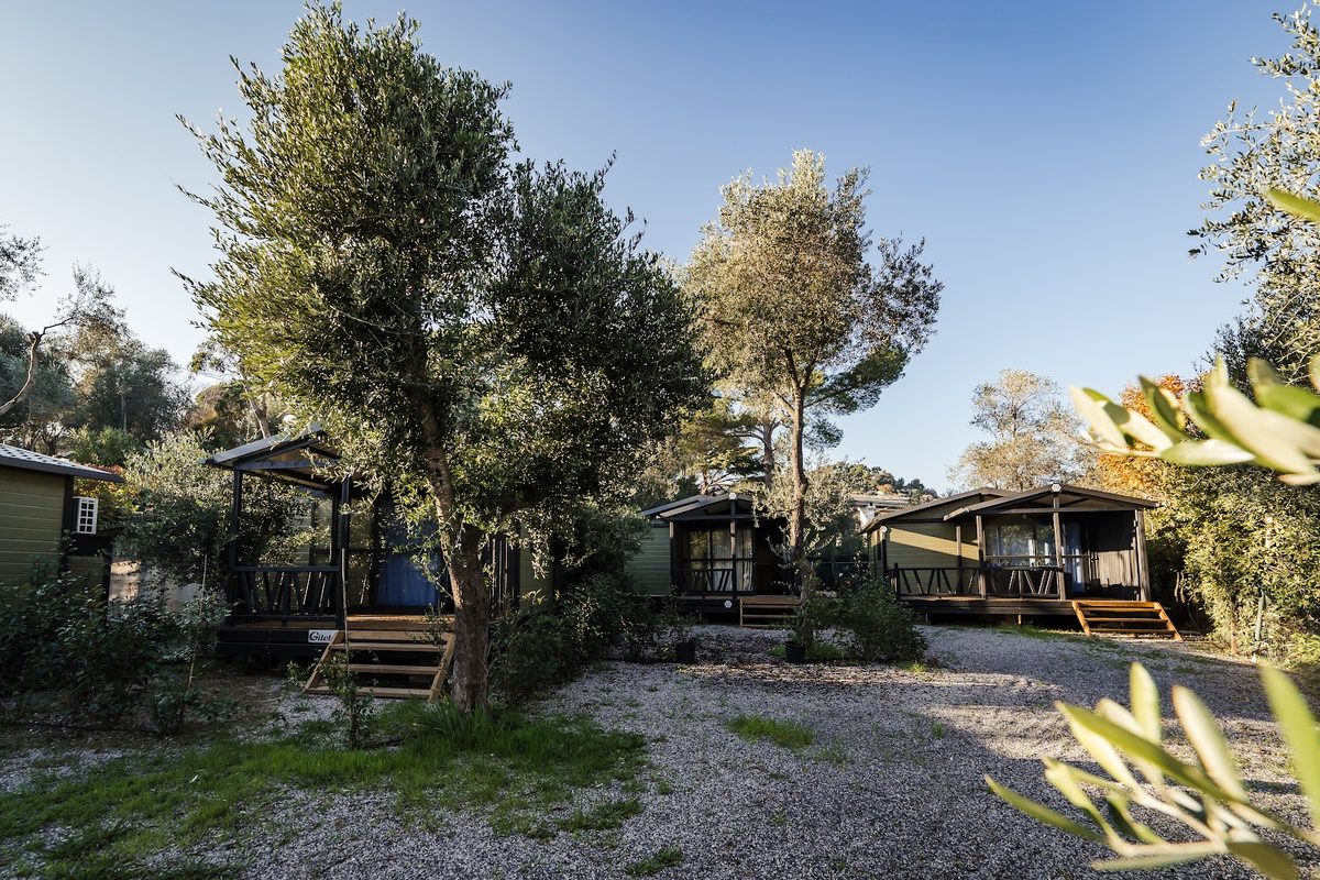 Oasi Camping campsite in Diano Marina — photo 4
