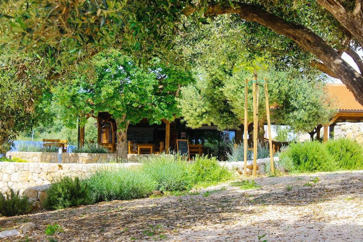 Olea Camping campsite in Novalja — photo 3