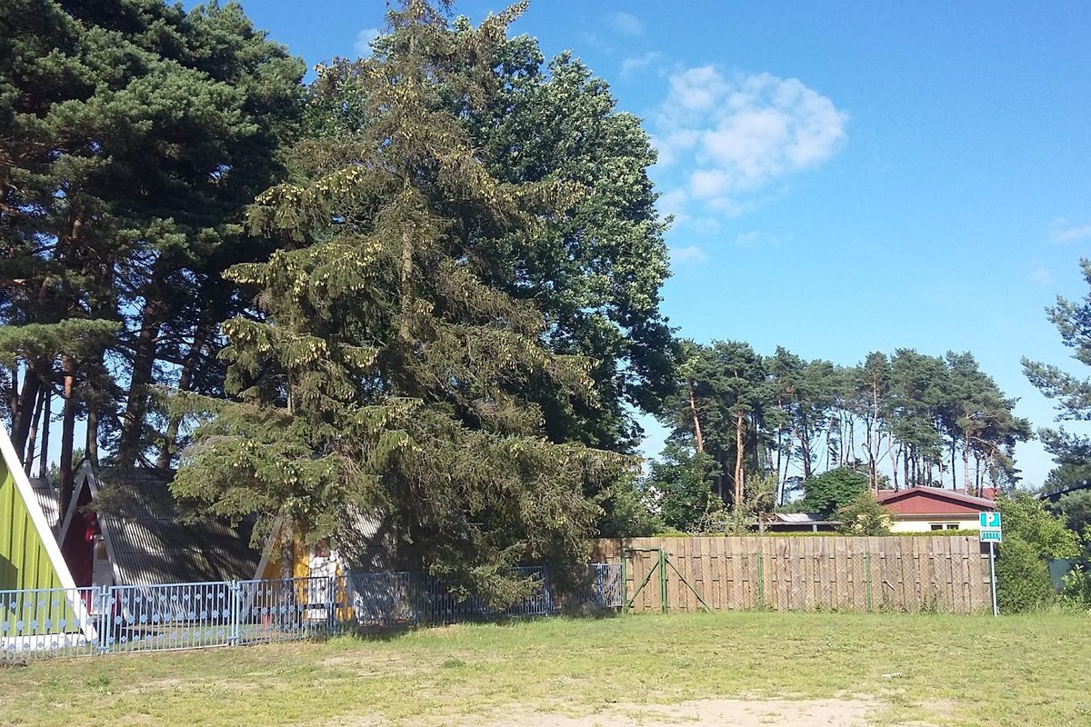 Ostseecamping Peenemündung campsite in Kröslin — photo 5