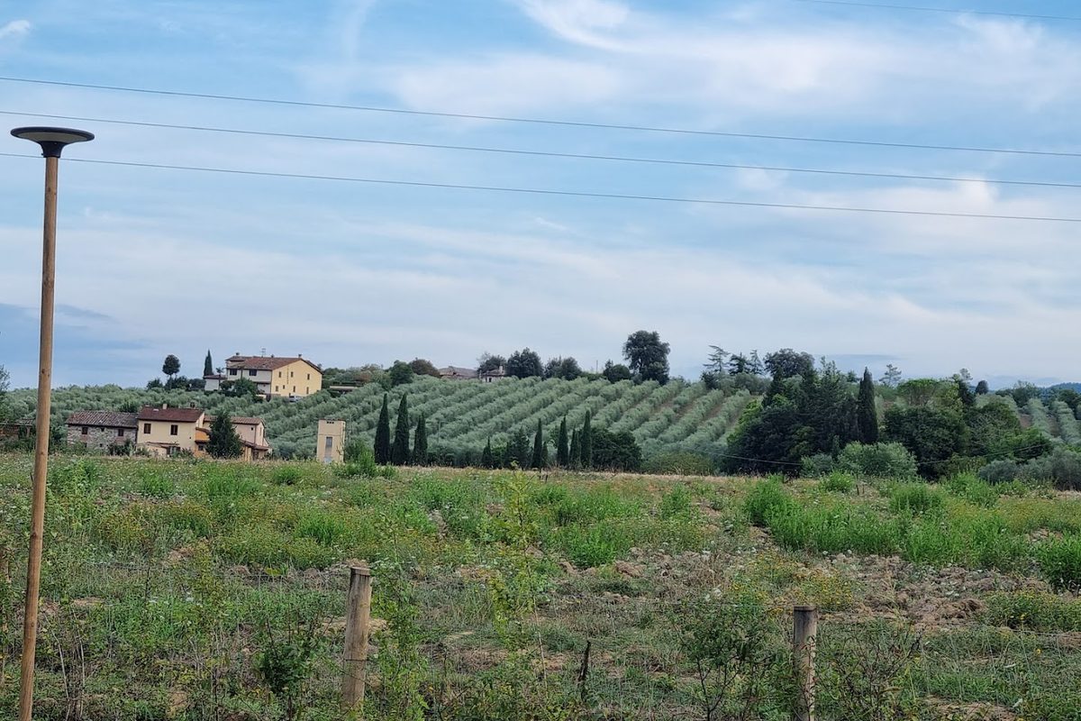 Palagina - Il borgo agricolo campsite in Ponte Agli Stolli — photo 4