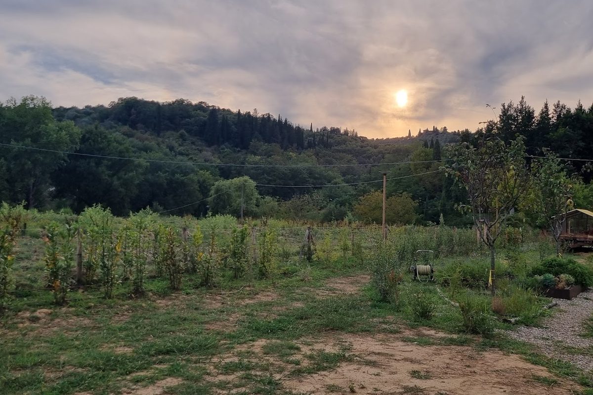 Palagina - Il borgo agricolo campsite in Ponte Agli Stolli — photo 5