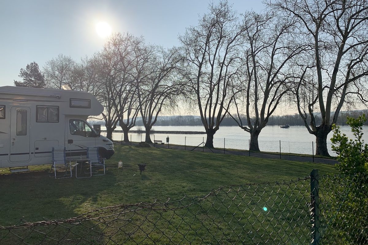 Rheingaucamping campsite in Geisenheim — photo 3