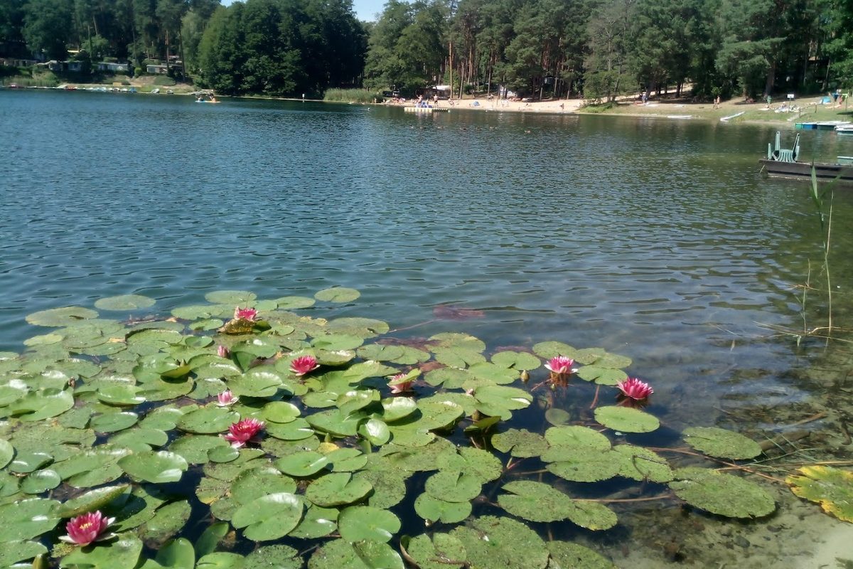 Schervenzsee Camping Und Erholung campsite in Schernsdorf — photo 4