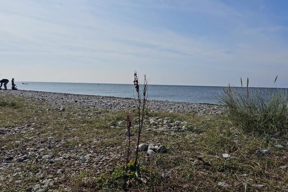 Photo of Strandcamping Wallnau