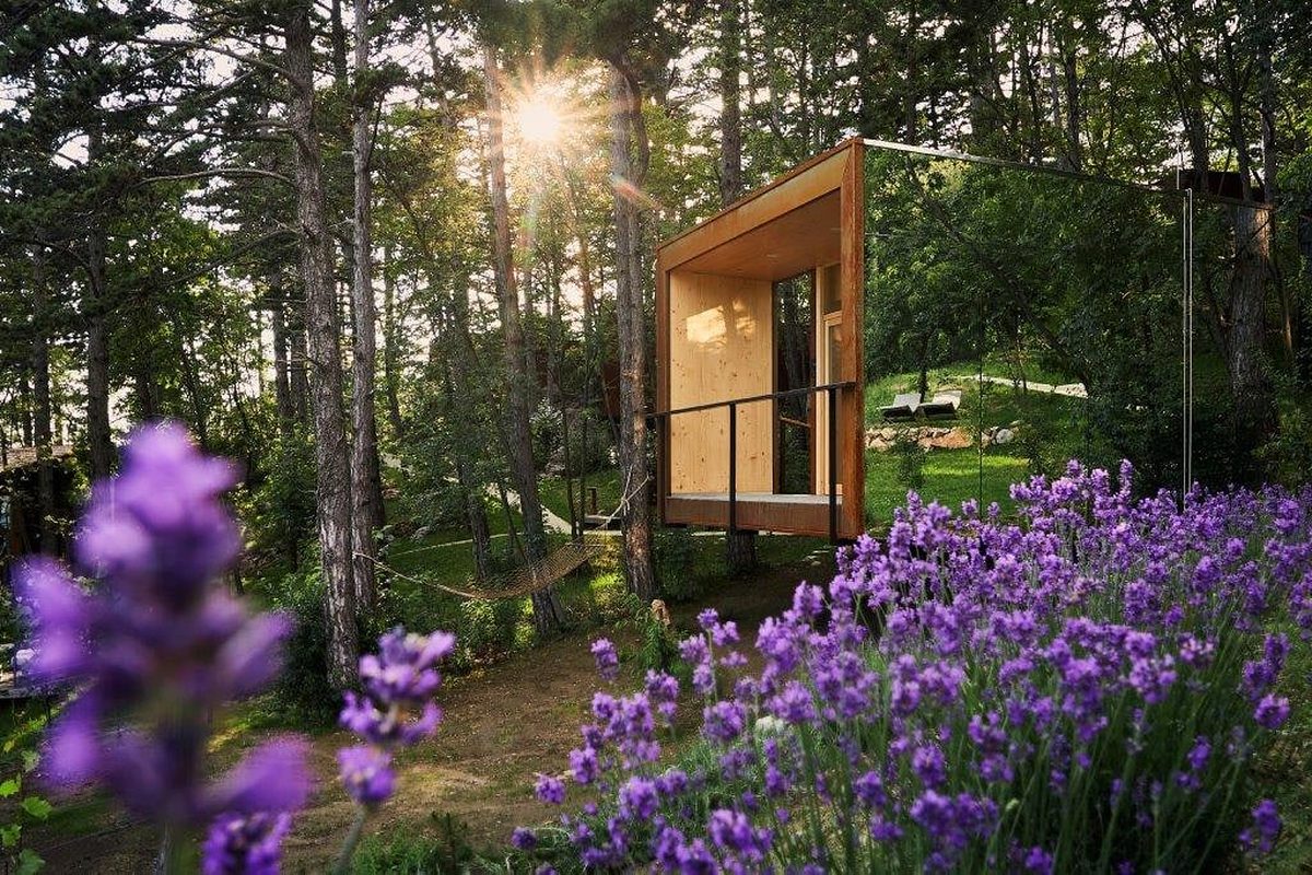 Photo of Theodosius Forest Village
