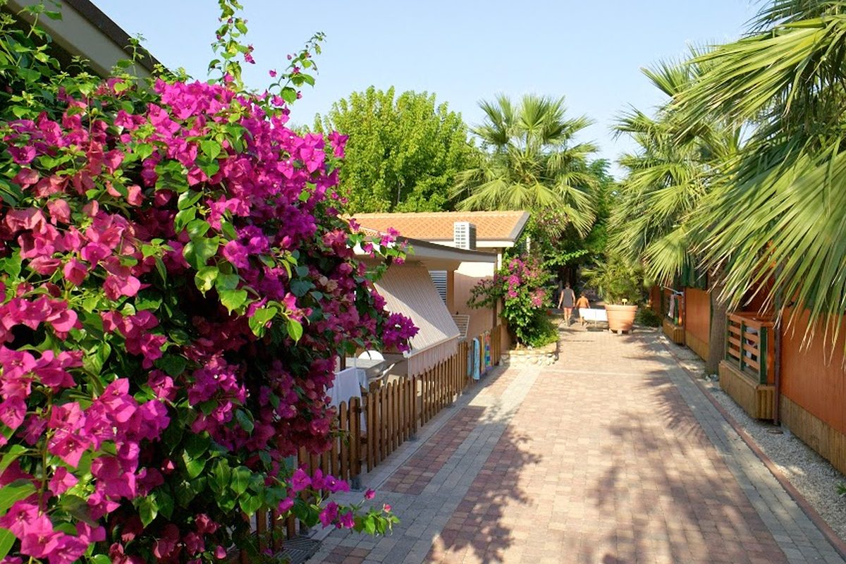 Villaggio Camping Duca Amedeo campsite in Martinsicuro — photo 4