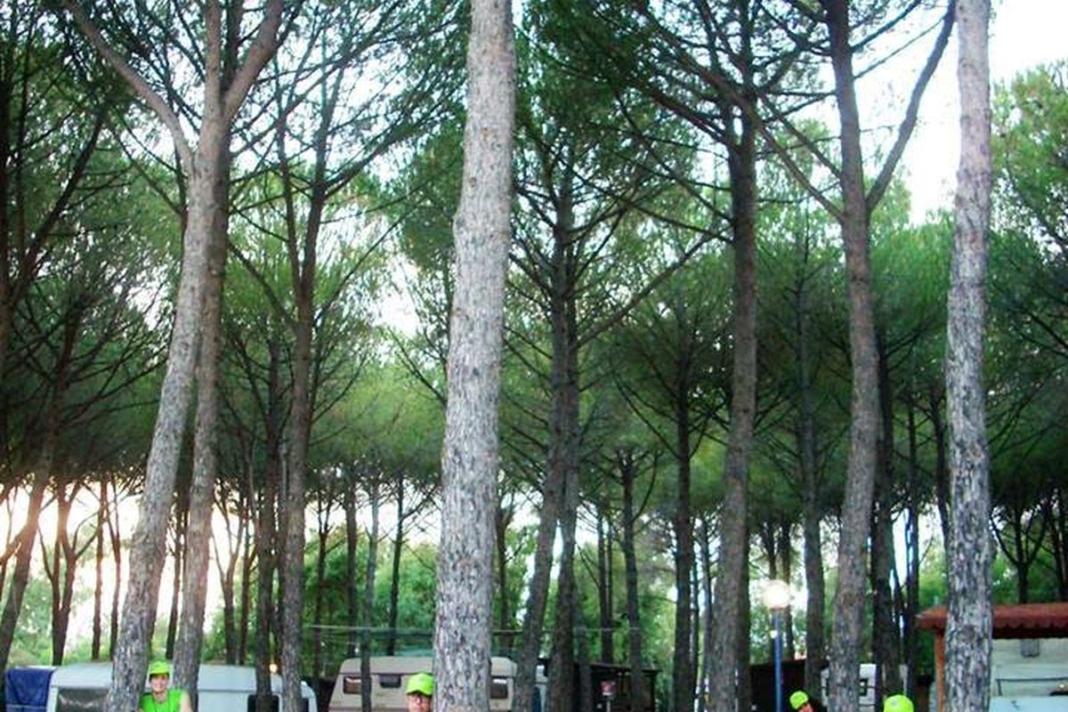 Villaggio Camping Lungomare campsite in Cropani Marina — photo 2
