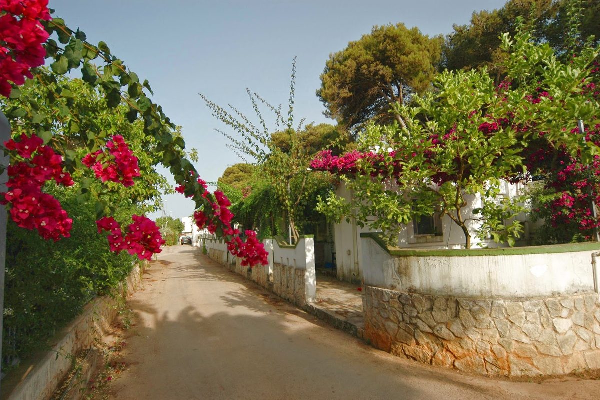 Villaggio Camping Pineta Al Mare campsite in Specchiolla — photo 4