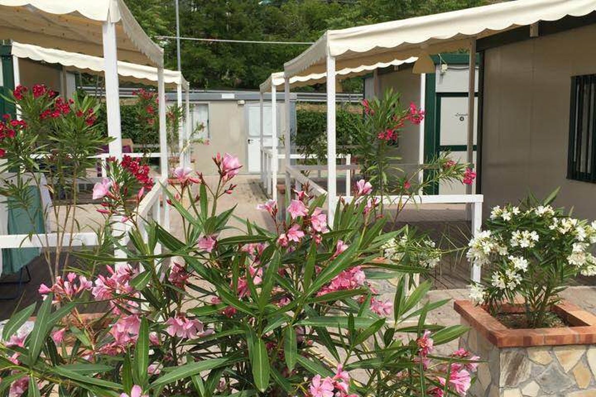 Villaggio Lido Tropical - Ristorante campsite in Diamante — photo 3
