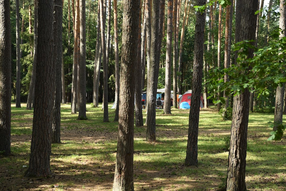 Waldcamping Brombach campsite in Pleinfeld — photo 5