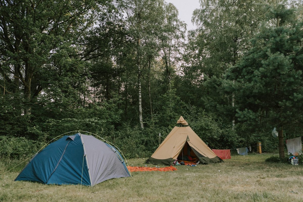 Wildwood Camping Lüneburger Heide campsite in Südheide — photo 5