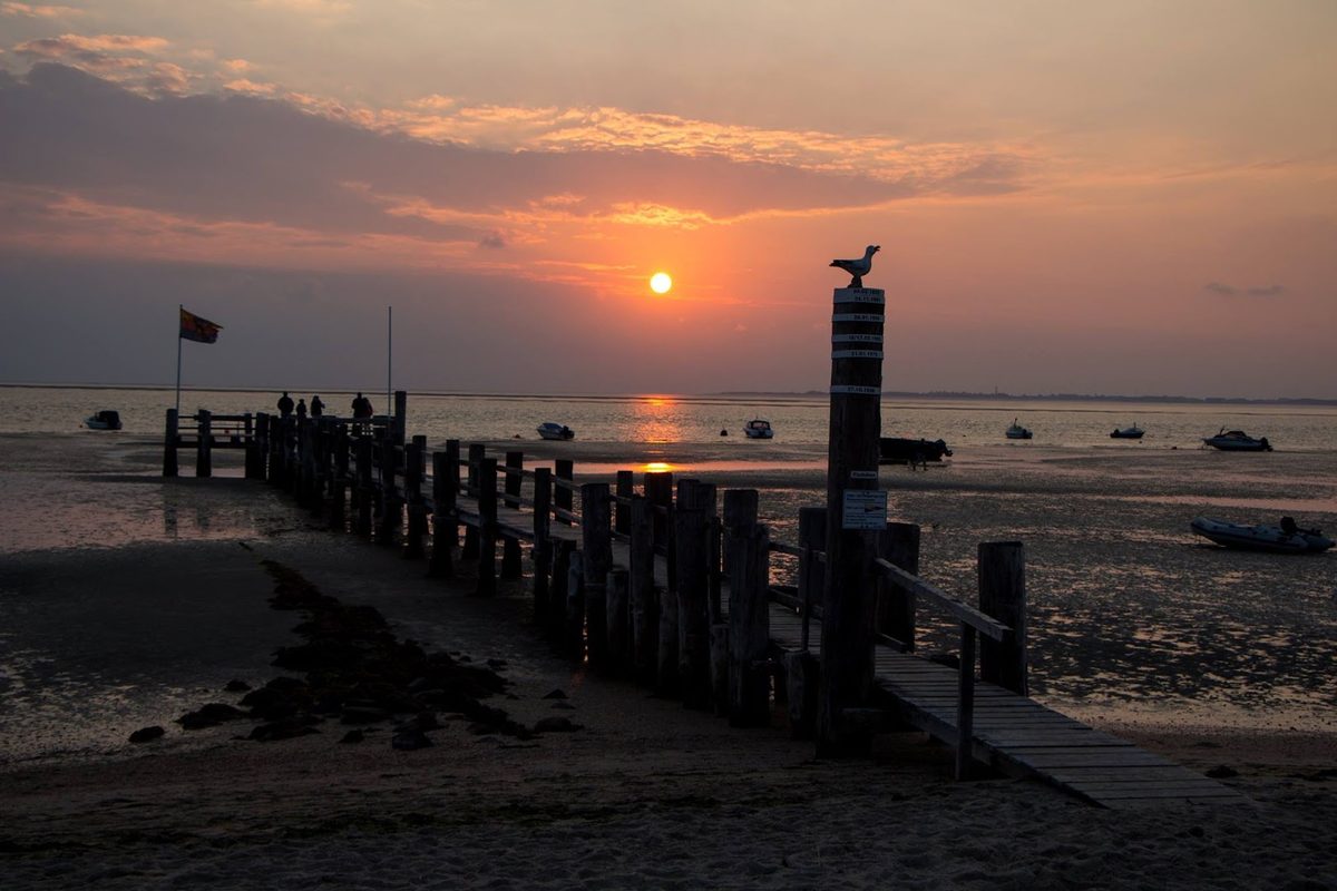 Wohnmobilstellplatz Utersum auf Föhr campsite in Utersum — photo 5